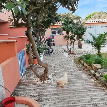 Confort A - 20 M² Avec Barbecue Et Terrasse 아파트 *