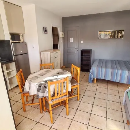 Confort A - 20 M² Avec Barbecue Et Terrasse Apartman *