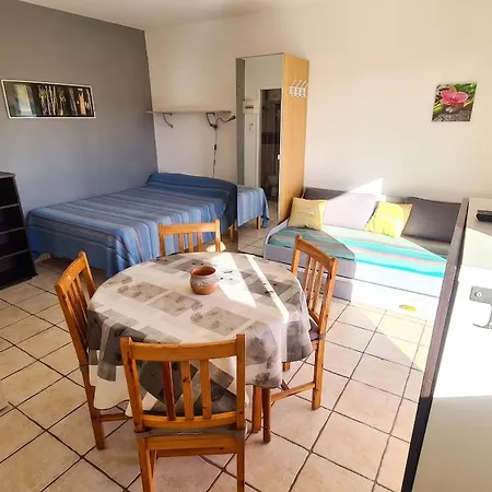 Confort A - 20 M² Avec Barbecue Et Terrasse 公寓